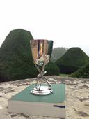 Shooting Trophy - Brandeston