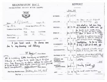 Alan Limer - Brandeston Report