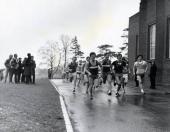 Henry Simpson & Mark Calvert