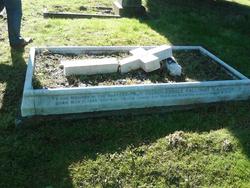 REV GEOFFREY SELDON ARNOLD-WALLINGER (1905-08)